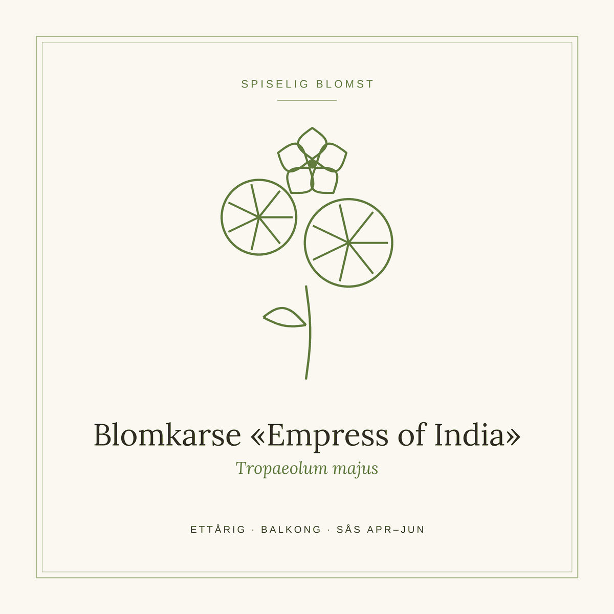 Frøpose fra SpireLykke — Blomkarse «Empress of India»