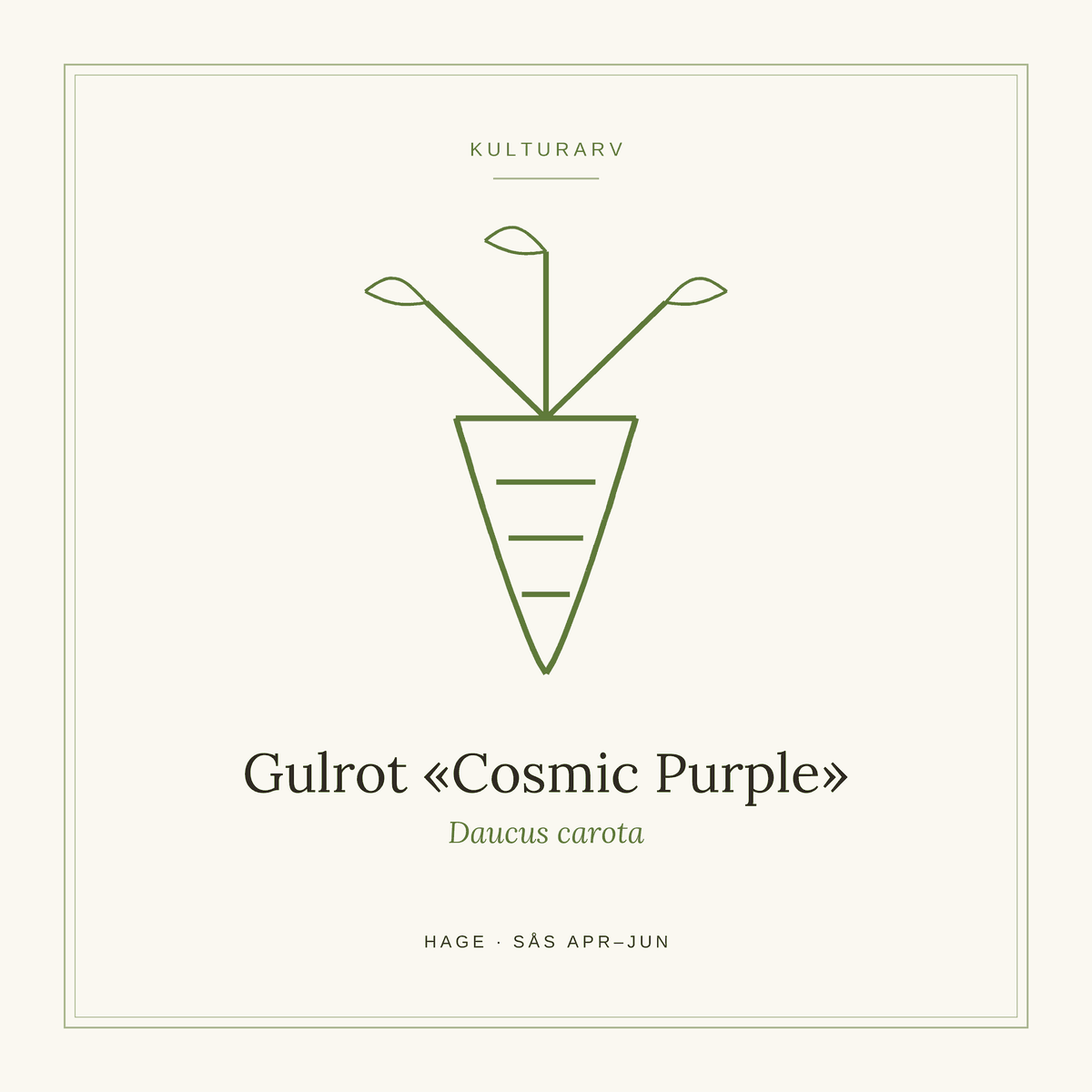 Frøpose fra SpireLykke — Gulrot «Cosmic Purple»