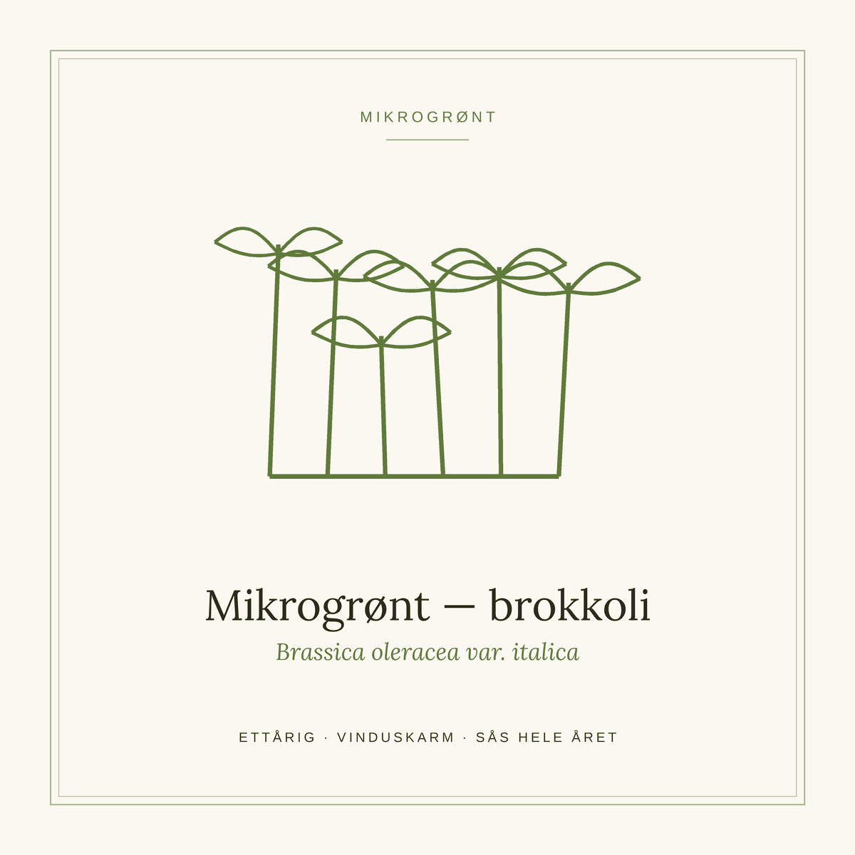Frøpose fra SpireLykke — Mikrogrønt brokkoli
