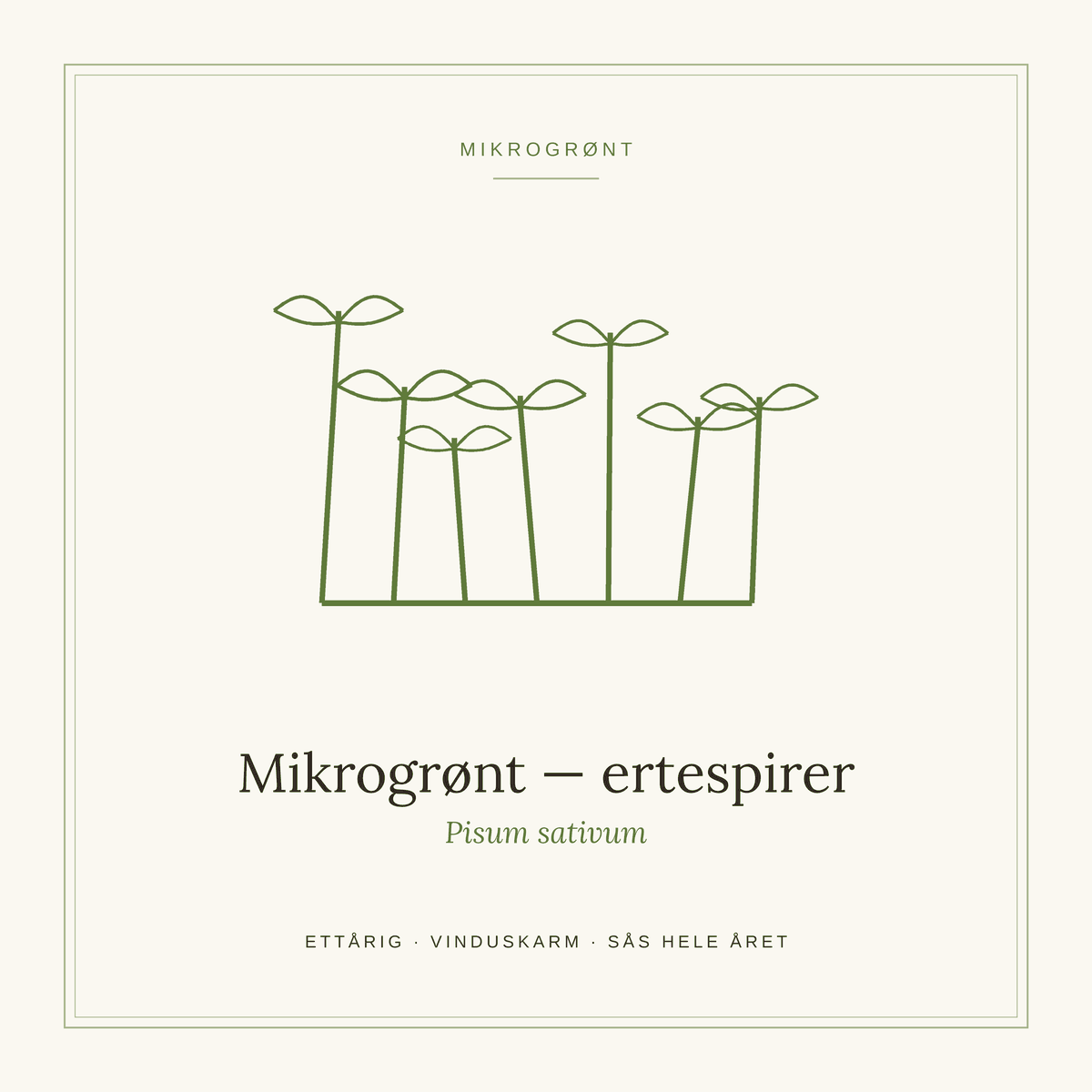 Frøpose fra SpireLykke — Mikrogrønt ertespirer