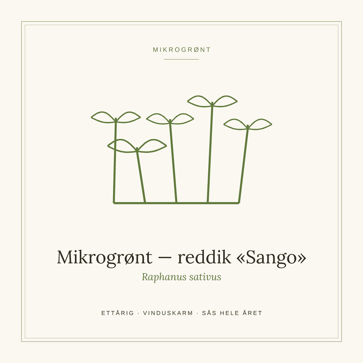 Frøpose fra SpireLykke — Mikrogrønt reddik «Sango»
