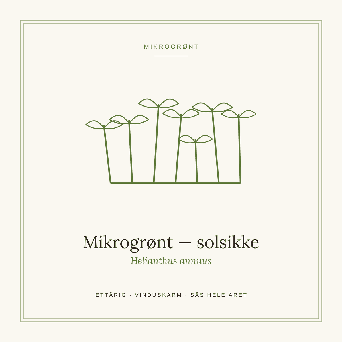 Frøpose fra SpireLykke — Mikrogrønt solsikke