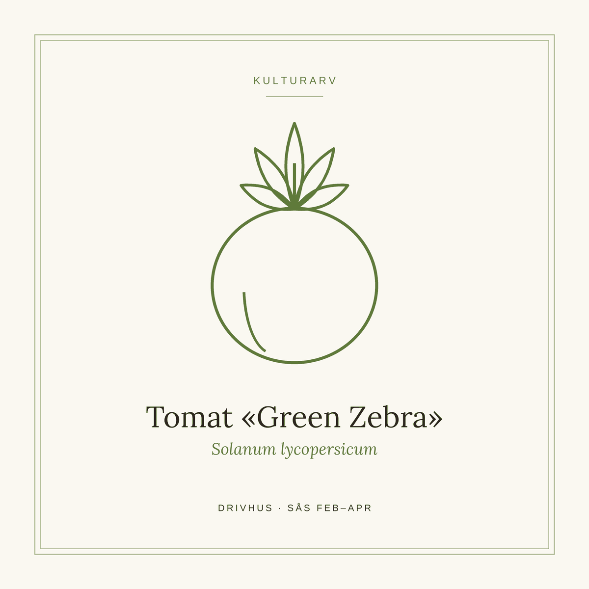 Frøpose fra SpireLykke — Tomat «Green Zebra»