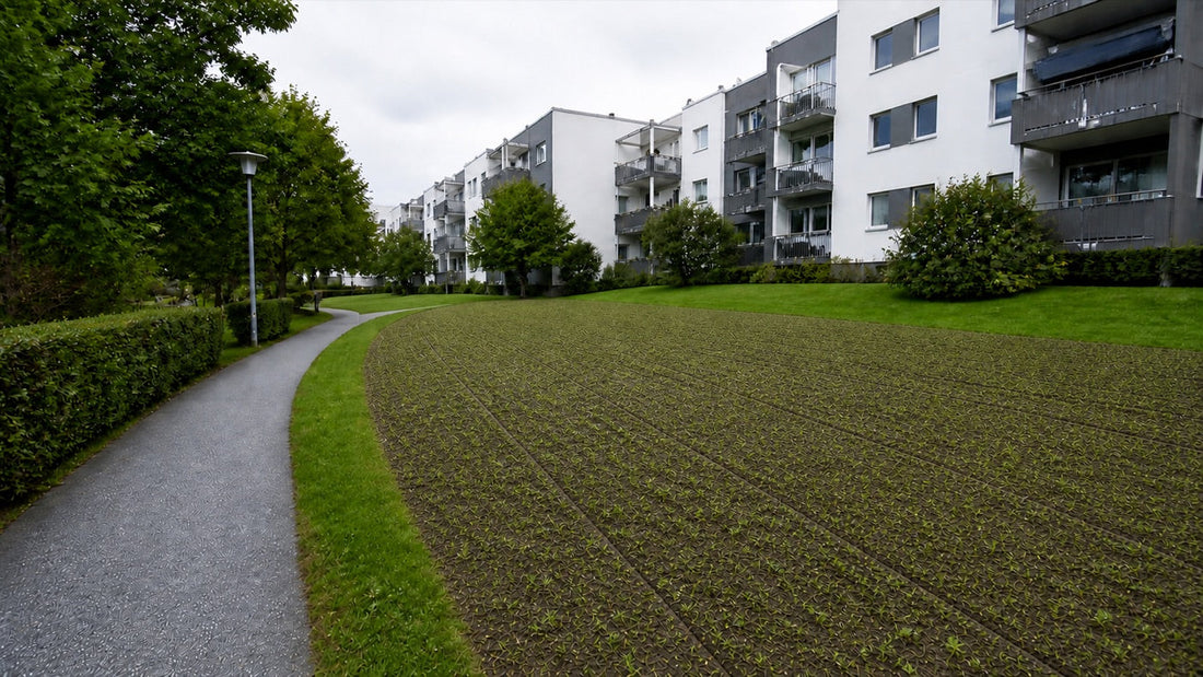 Spiring på et klargjort felt ved et borettslag