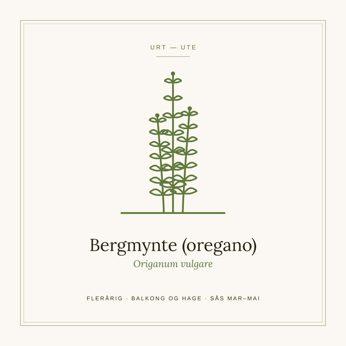 Frøpose fra SpireLykke — Bergmynte (oregano)