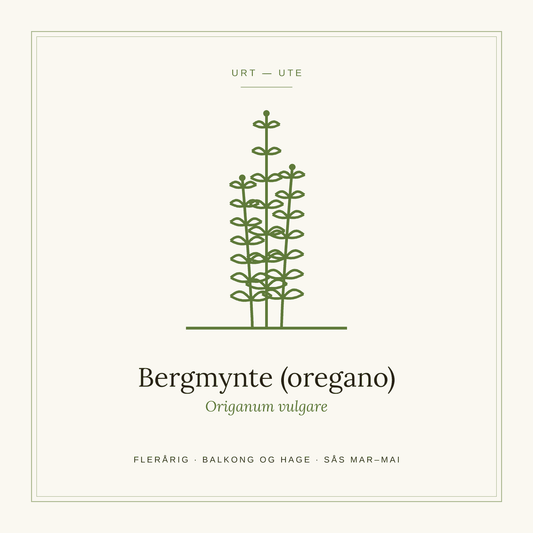 Frøpose fra SpireLykke — Bergmynte (oregano)