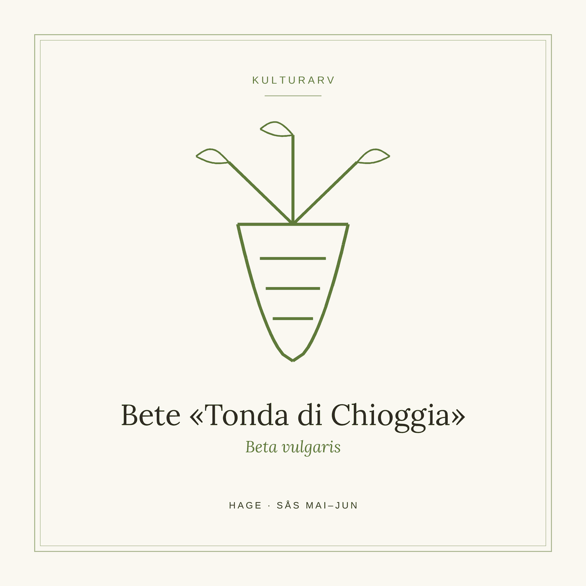 Frøpose fra SpireLykke — Bete «Tonda di Chioggia»