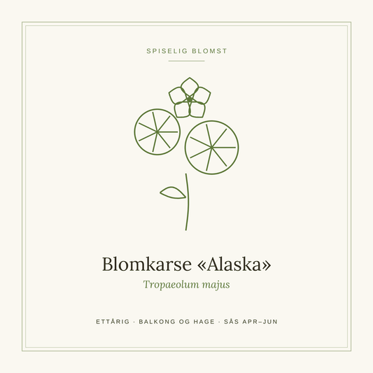 Frøpose fra SpireLykke — Blomkarse «Alaska»