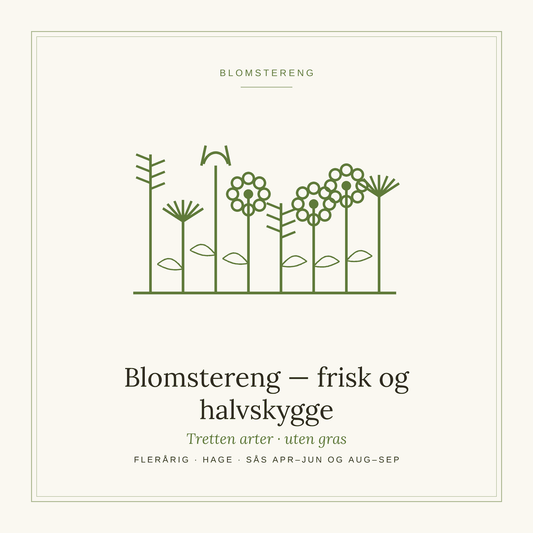 Frøpose fra SpireLykke — Blomstereng, frisk og halvskygge