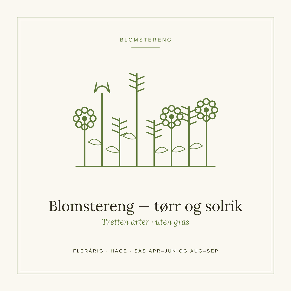 Frøpose fra SpireLykke — Blomstereng, tørr og solrik