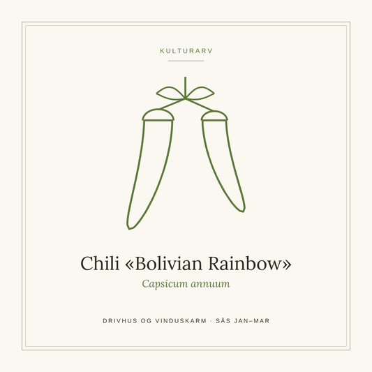 Frøpose fra SpireLykke — Chili «Bolivian Rainbow»