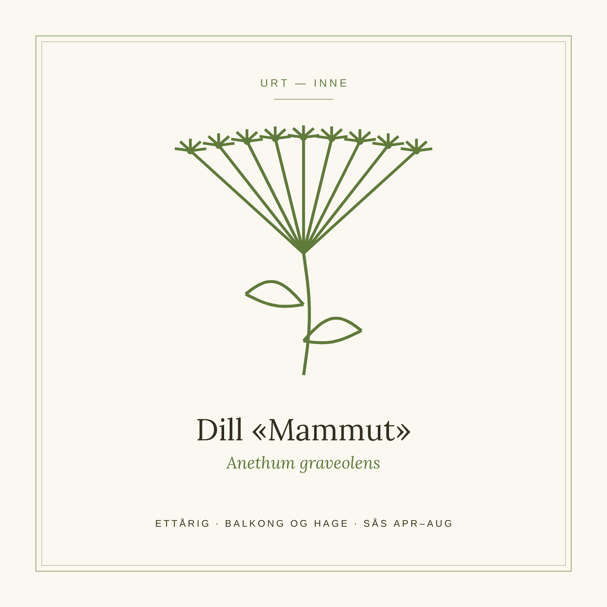 Frøpose fra SpireLykke — Dill «Mammut»