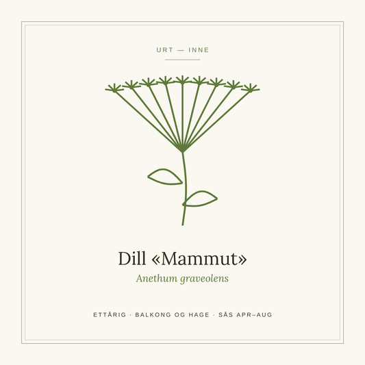 Frøpose fra SpireLykke — Dill «Mammut»