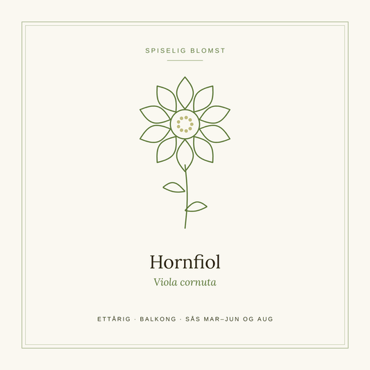 Frøpose fra SpireLykke — Hornfiol