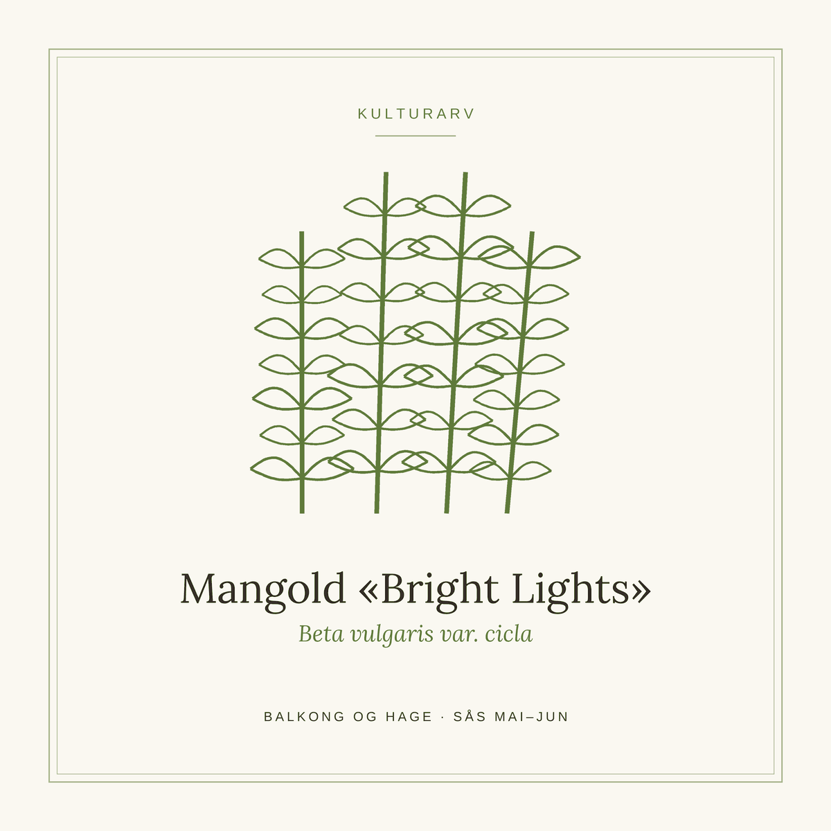 Frøpose fra SpireLykke — Mangold «Bright Lights»
