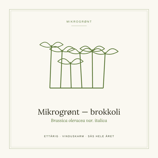 Frøpose fra SpireLykke — Mikrogrønt brokkoli