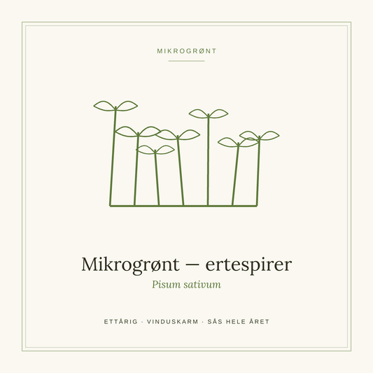 Frøpose fra SpireLykke — Mikrogrønt ertespirer