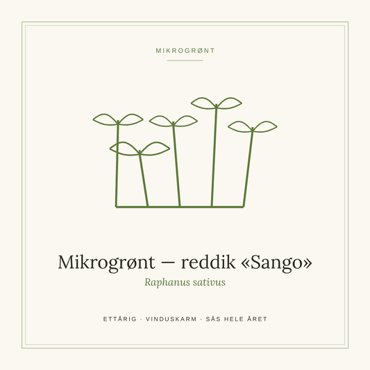 Frøpose fra SpireLykke — Mikrogrønt reddik «Sango»