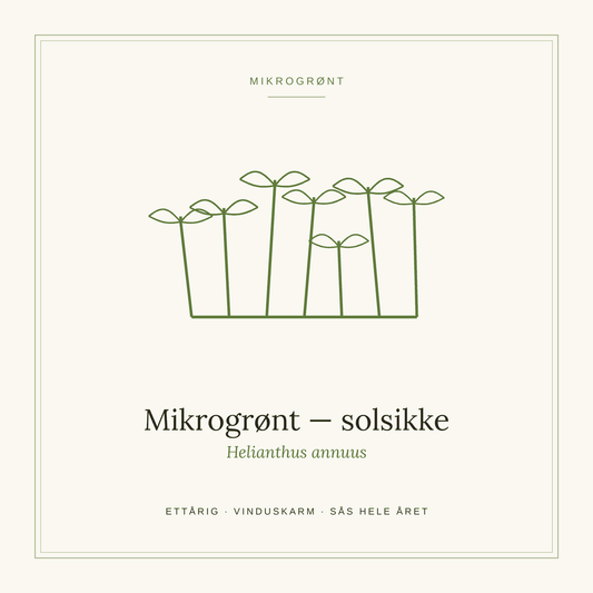 Frøpose fra SpireLykke — Mikrogrønt solsikke