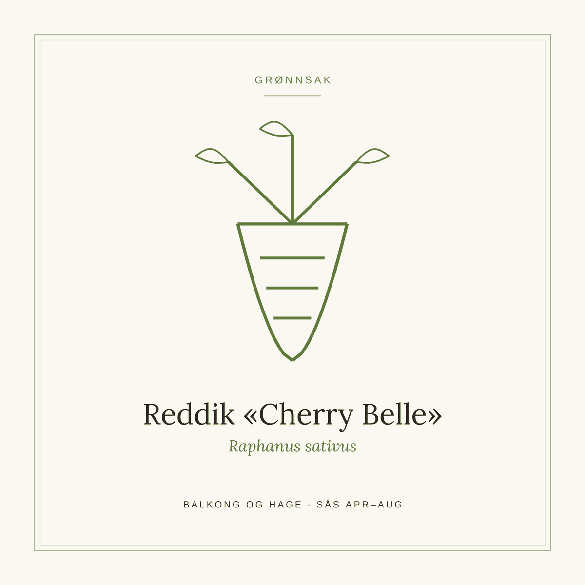 Frøpose fra SpireLykke — Reddik «Cherry Belle»
