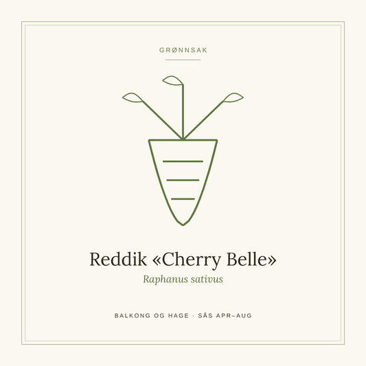 Frøpose fra SpireLykke — Reddik «Cherry Belle»