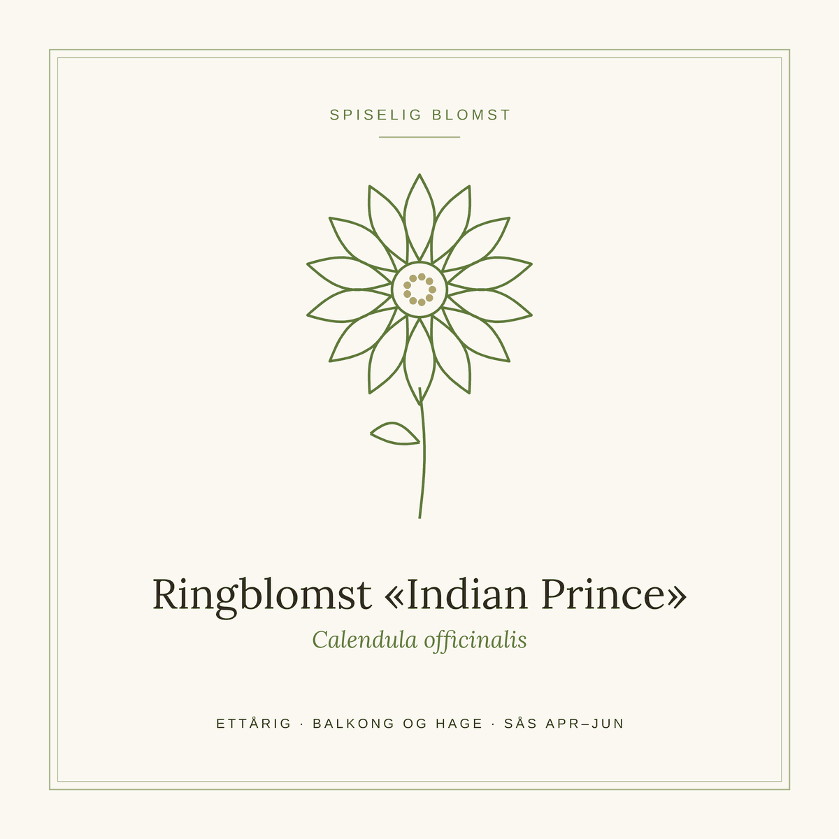 Frøpose fra SpireLykke — Ringblomst «Indian Prince»