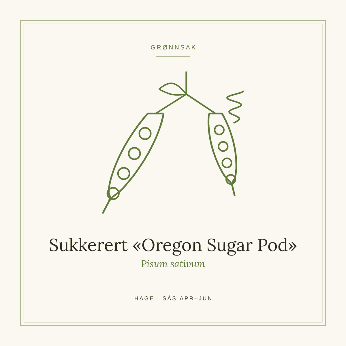 Frøpose fra SpireLykke — Sukkerert «Oregon Sugar Pod»