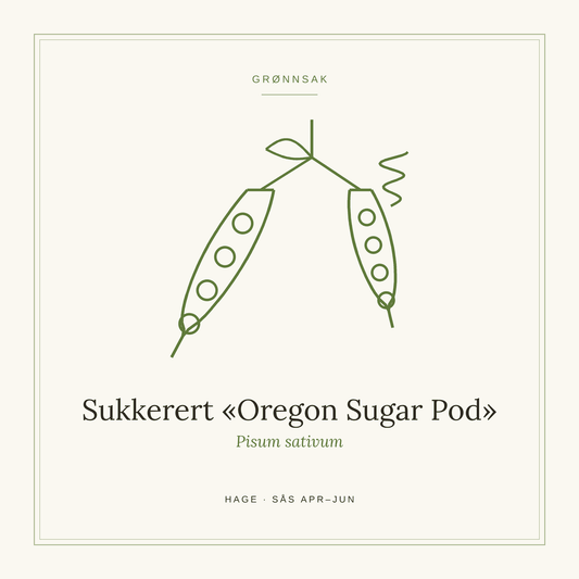 Frøpose fra SpireLykke — Sukkerert «Oregon Sugar Pod»