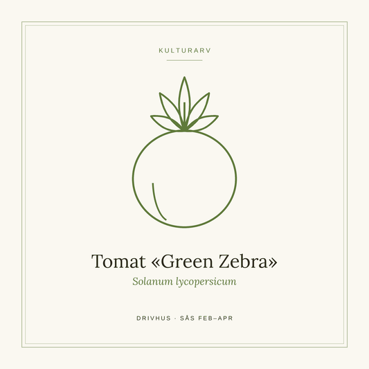 Frøpose fra SpireLykke — Tomat «Green Zebra»